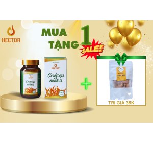 dong-trung-ha-thao-say-thang-hoa-hector